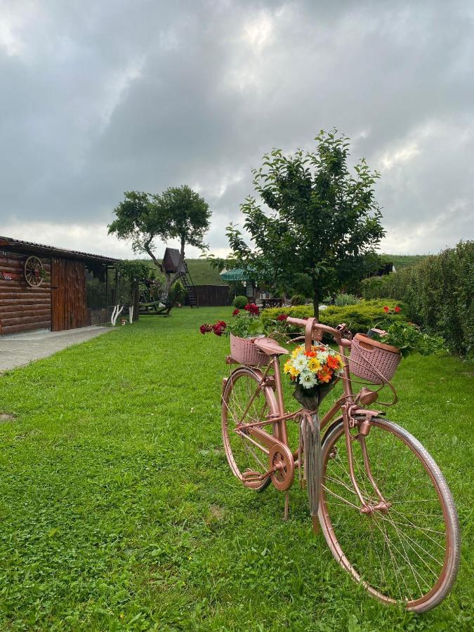 Pensiunea Denis Cîrţişoara Bagian luar foto
