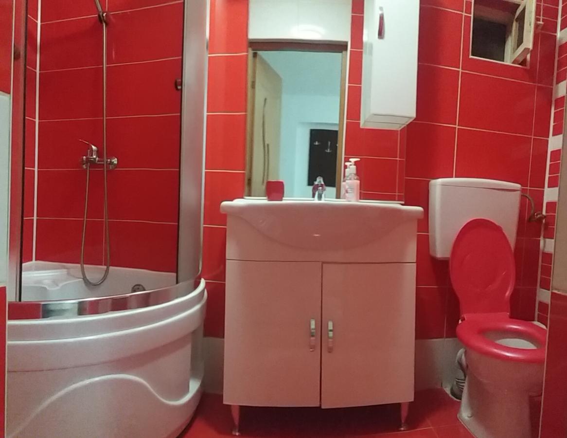 Pensiunea Denis Cîrţişoara Bagian luar foto