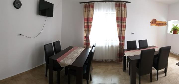 Pensiunea Denis Cîrţişoara Bagian luar foto